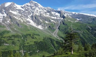 Apartamentos en Grossarltal