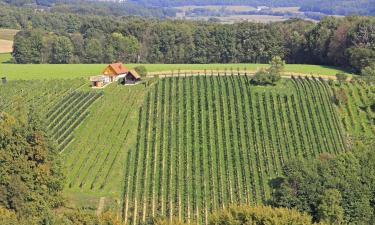 Holiday Rentals in Western Styria