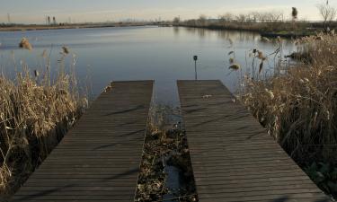 Hoteluri în Meadowlands