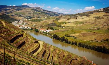 Port Wine Route: ūkininkų sodybos