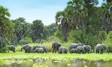 Hotels in Selous Game Reserve
