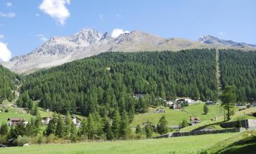 Fermes dans cette région : Solda all'Ortles