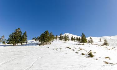 Hoteller i Parnassos Ski