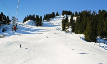 Hoteles en Pertouli Ski