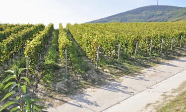 Tokaj Wine Region: viešbučiai