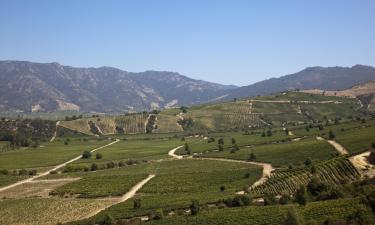 Mga hotel sa Colchagua Valley Wine Route