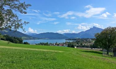 Ferienwohnungen in der Region Mondseeland