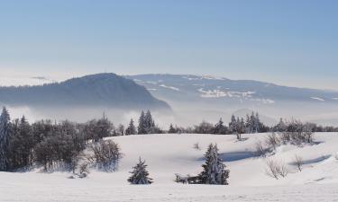 Hôtels dans cette région : Massif du Jura