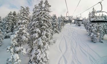 Cama e cafés (B&Bs) em: Mount Snow