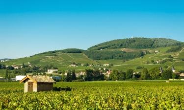 Ξενοδοχεία σε Monts et Coteaux du Lyonnais