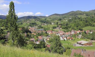 Отели с бассейном в регионе Vosges du Nord