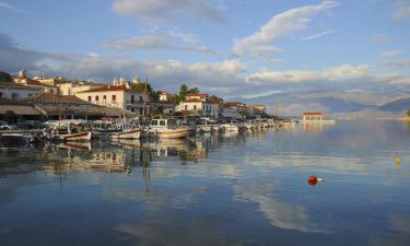 Hotel di Fokida