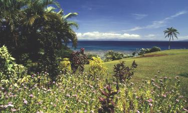 Hotellit alueella Taveuni