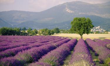 Valensole Plateau – vily