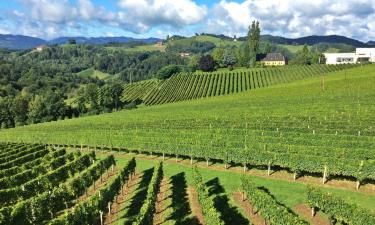 Guest Houses in Southern Styria