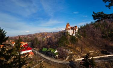 Guest Houses in Bran