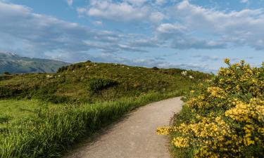 Hostels in Camino North Route