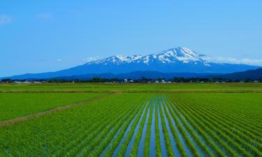 Hoteles en Yamagata