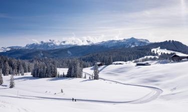 Ferienwohnungen in der Region Reit im Winkl - Winklmoos