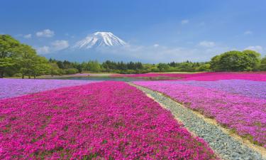 山梨県のホテル