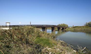 Beach rentals in Po Delta