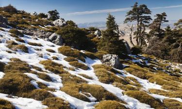 Апартаменты/квартиры в регионе Sierra de las Nieves