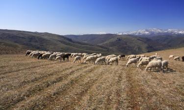 Hotéis-fazenda Rurais em: Trás-os-Montes e Alto Douro