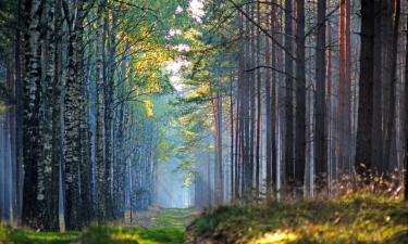 Ośrodki wypoczynkowe w regionie Tuchola Forest