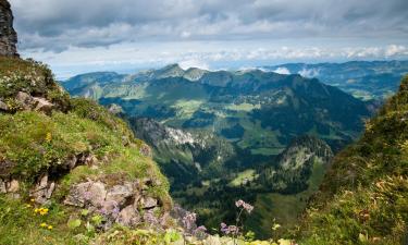 Готелі в регіоні Coromandel Peninsula