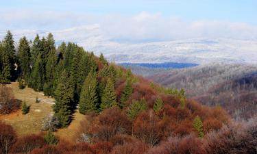 Hôtels spa dans cette région : Harghita