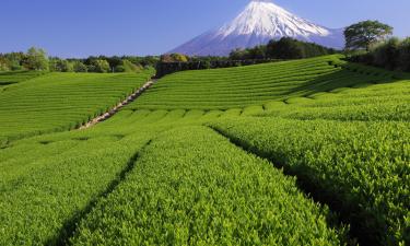 Ryokans en Shizuoka