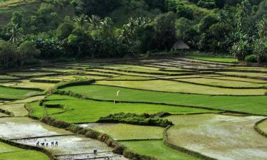 Hoteles en Nusa Tenggara Oriental