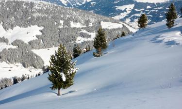 อพาร์ตเมนต์ในZillertal