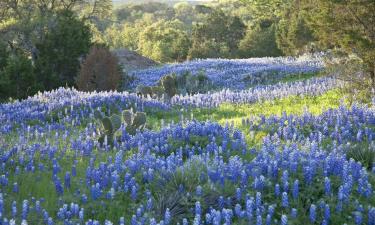 Hotels in Texas Hill Country