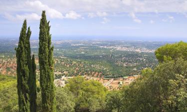 Fermes dans cette région : Fasano