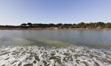 Leiligheter i Doñana nasjonalpark