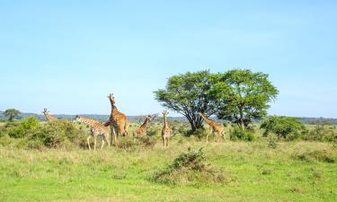 Hoteles en Nairobi National Park