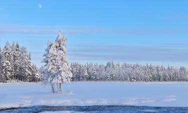 Hotels in Northern Savonia