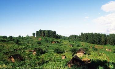 Vacation Homes in Central