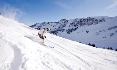 Ferienwohnungen in der Region Ski amadé