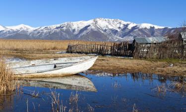 Hoteles en Florina Prefecture