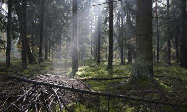 Hotel di Bialowieza National Park