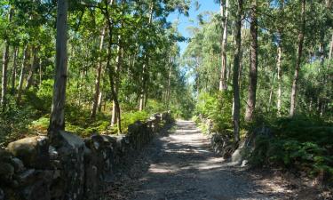 Portuguese Route of Santiagoのホテル