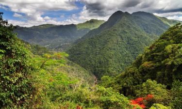 Hótel á svæðinu Central Puerto Rico