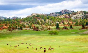 Family Hotels in Black Hills National Forest