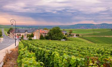 Hotels with Parking in Champagne Route