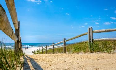 Long Beach Island : svečius su gyvūnais priimantys viešbučiai