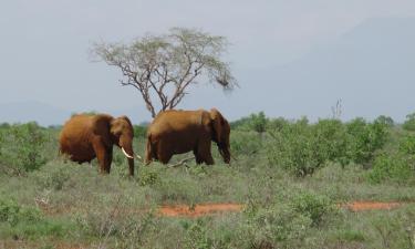 Shimba Hills National Reserve: hotel