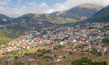 Guest Houses in Evrytania