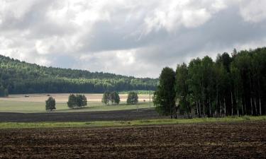 Hotelek Cseh-erdő területén